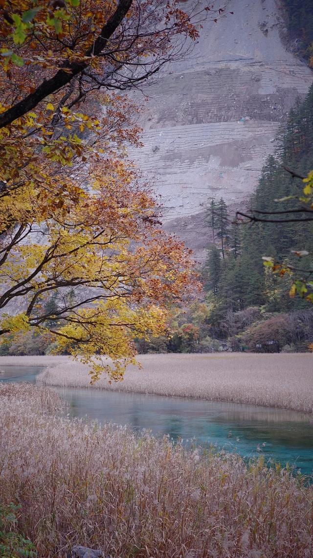 【今日九寨沟】秋季彩林最后的盛宴，明年再见！