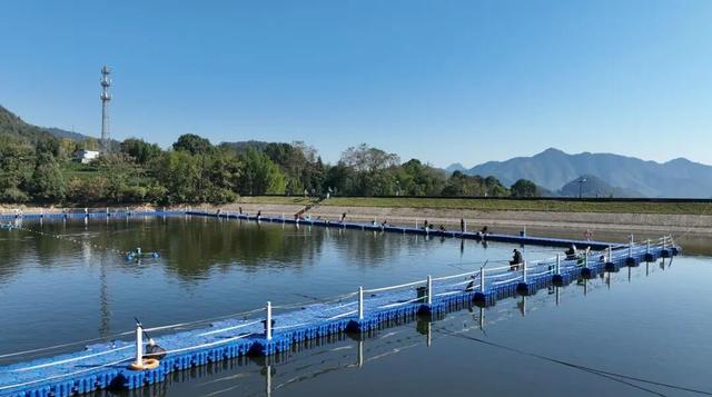 露营、垂钓……富阳这个村游客不断，越来越红火！
