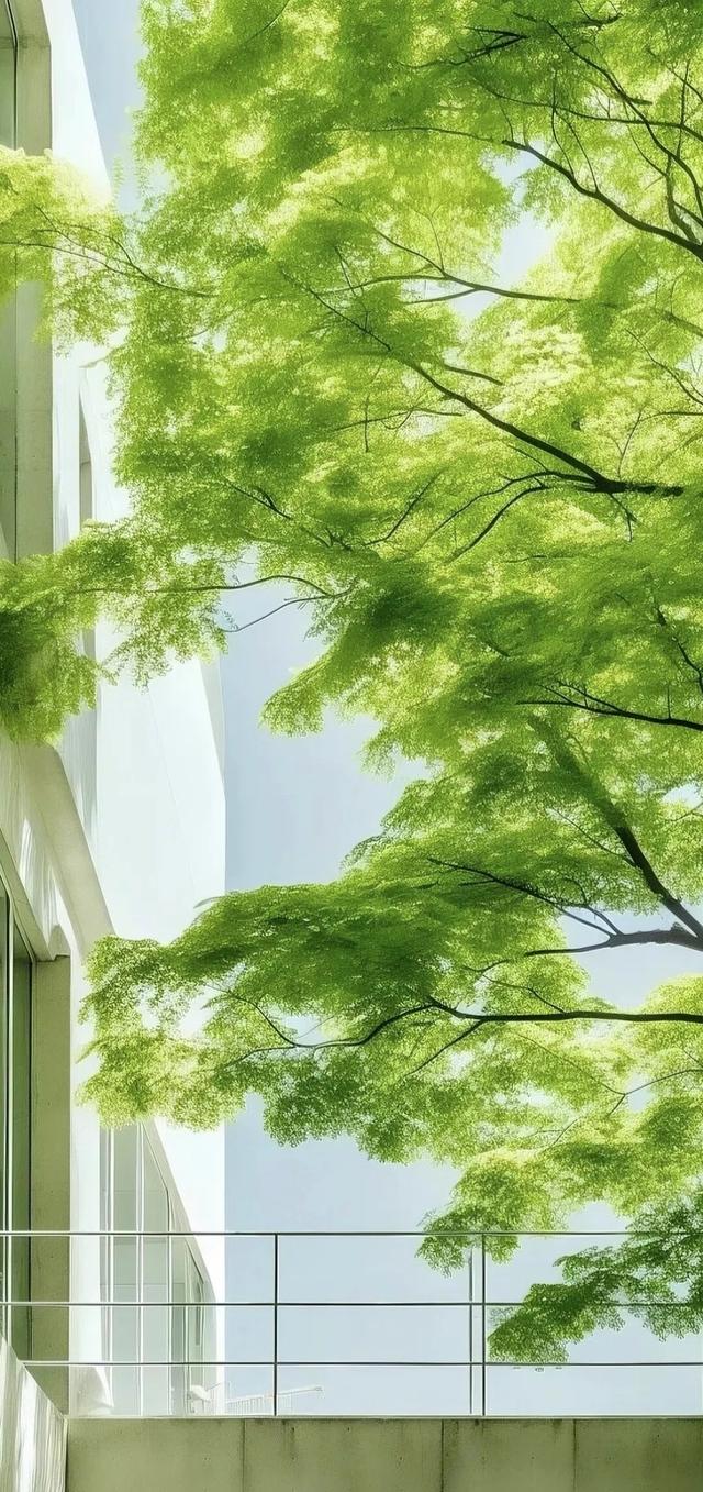 #治愈系风景 #唤醒初秋氛围感