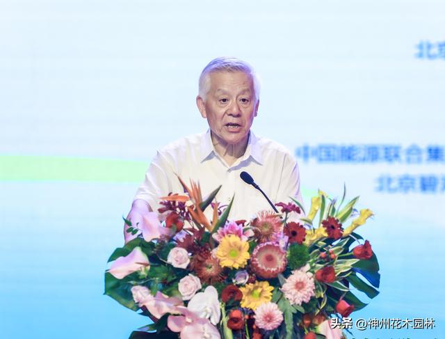 中国工程院院士尹伟伦：树木健康就是生态健康