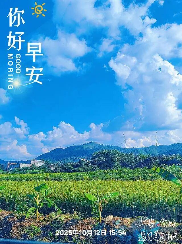 早安正能量励志句子 慢慢来 像花开一样 你的坚持终会被时光温柔以待