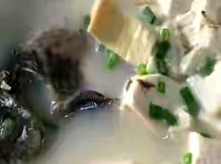 从清蒸到酸菜鱼！16道鱼肴终极指南，收藏这篇就够了！