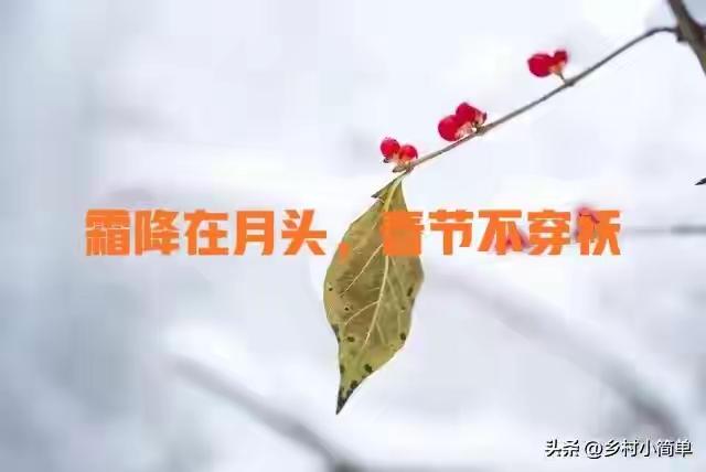 今年霜降不一般，霜降在月头，春节不穿袄，2026年春节冷吗？