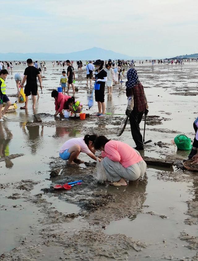 厦门可以赶海的6个地点推荐，环东滨海浪漫线和黄厝沙滩榜单有名