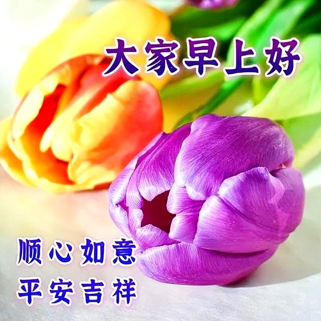 10月10日早上好祝福语暖心句子，早安朋友圈文案汇总，早安快乐