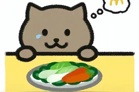 良心何在？外卖祭奠“胖猫”却是空包，网友们愤怒了图片