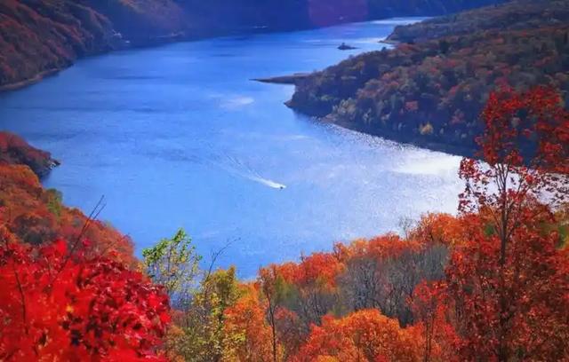 长白山 22 万人挤爆!央媒 200 篇 ,社媒 20 亿曝光！东北秋游火得非偶然