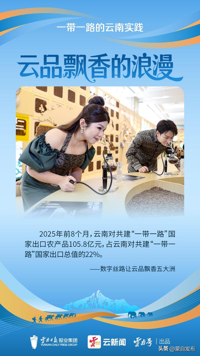 云新闻策划丨从茶马古道到数字丝路，云南把浪漫卷向全球！