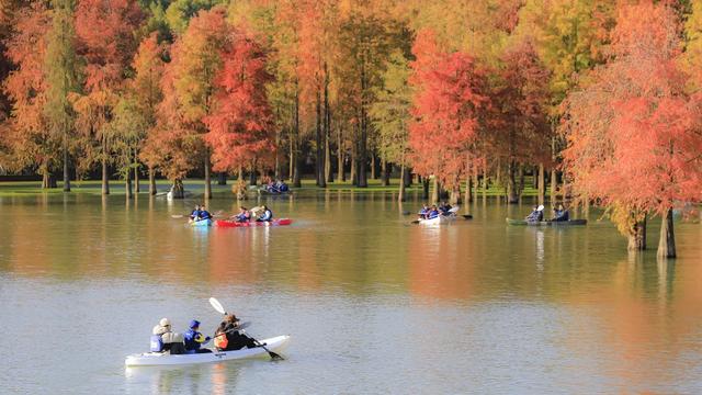 红了！红了！你最想和谁一起去？