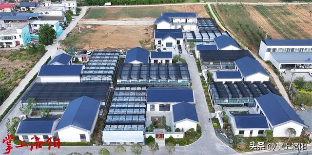 洛阳新增2个国家4A级旅游景区！全市A级景区达77家