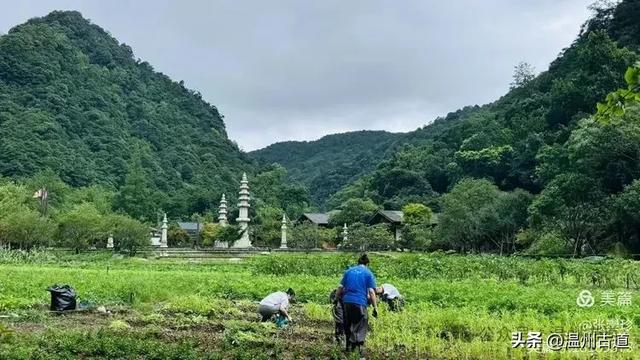 探秘雁荡三绝之一的绝美风光！来一次深度游~
