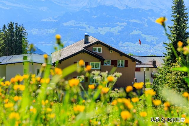 欧游杂记（5）‖ 齿轮火车几上几下瑞吉山，缆车凌空飞跃韦吉斯