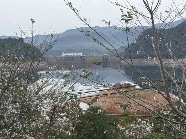 中国画创作院大美溪口东山旅游记