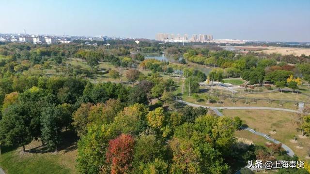 山河入秋，奉城尽染！