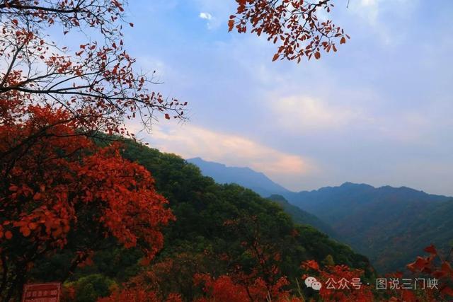 甘山红叶,秋之华章