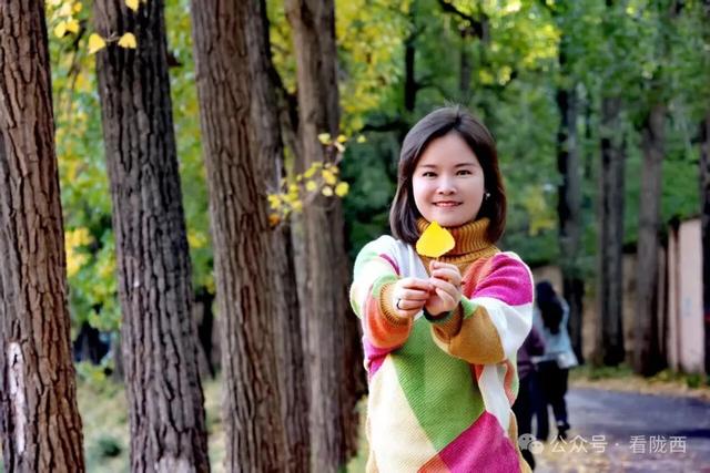 【图观陇西·新视角】陇西菜子四零四：白杨金黄 秒入油画