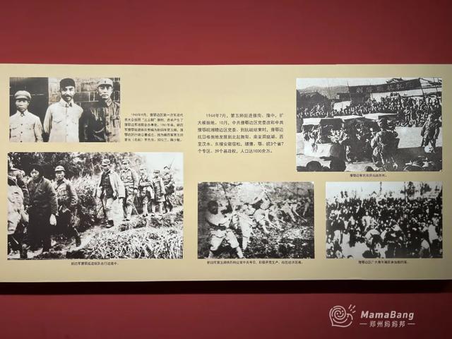 出郑州，开学前还能玩什么？这几个展览免预约，又凉快！