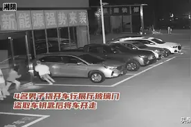 “组团”偷车？团灭！湘阴警方跨省追捕，发出灵魂拷问…图片