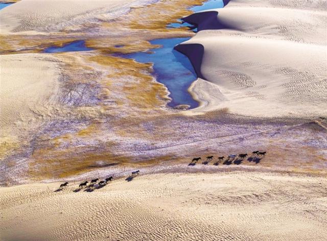 阿克塞：哈尔腾之冬