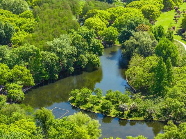 上海值得去的6个公园推荐！全部免费，好看又好玩！你都去过几个