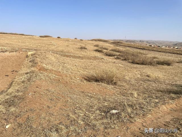 行摄包头市固阳县怀朔镇、银号镇境内部分古遗址