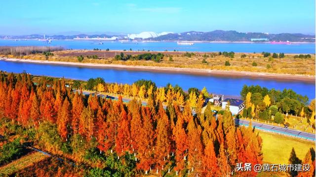 拍照绝美！就在黄石这里 快去打卡吧！