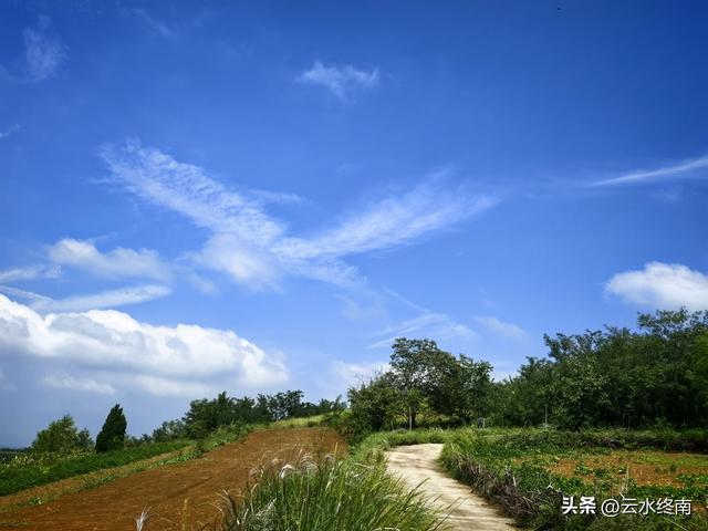 蓝田的美，美在隐秘：这是山边一条少有人走的路，我却走过很多次