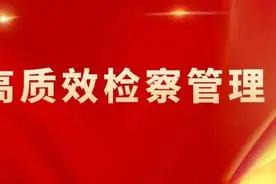 【高质效检察管理年】郑州金水：构建“三三制”人才培养机制 着力锻造高素质专业化检察队伍图片