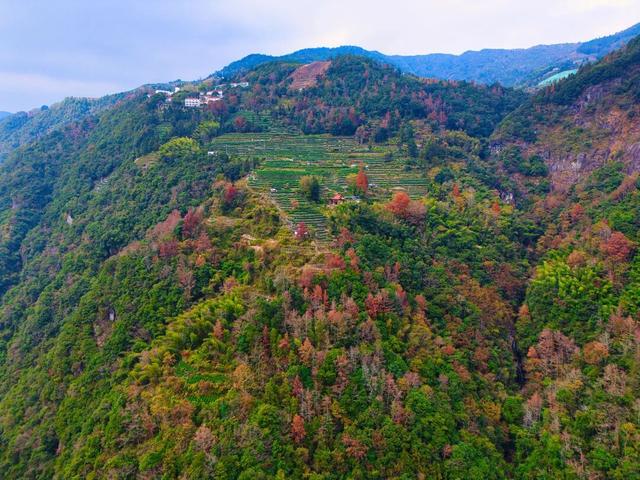 温州这个地方，藏着一群神秘“守泉人”