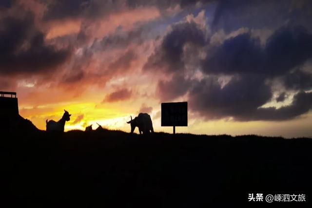 世纪晚霞美炸！荧光海爆发！花鸟岛必须去一趟啦~