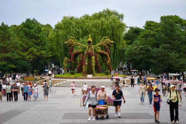 新华全媒＋丨“打卡”哈尔滨太阳岛：湿地漫游观城市生态画卷