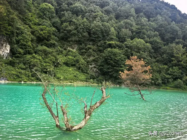 情人谷牛奶湖高山草甸：蜀道中“秦岭秘境”变成了一路的网红景点