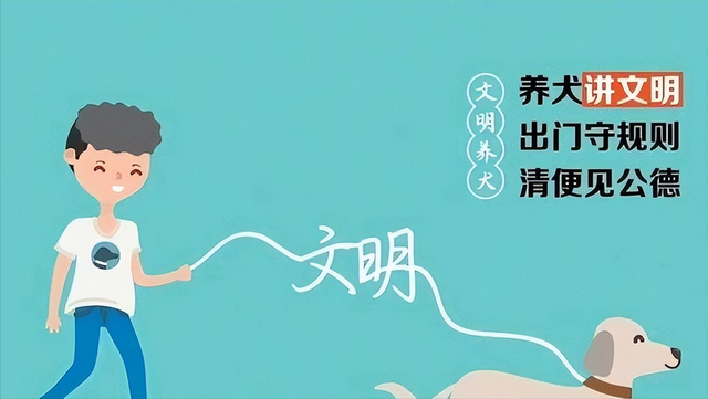 人大代表一席话问住养犬人：你的宠物狗，凭什么让他人付出代价？