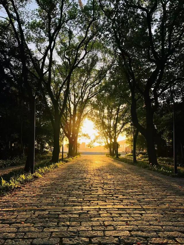 叮！你有一份上海秋日漫步地图待解锁→