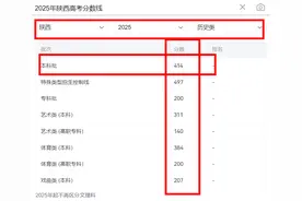 陕西2025高考一分一段表！附2024数据参考图片