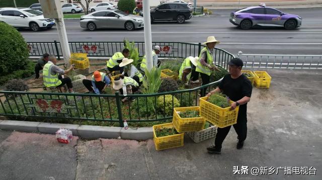 “变色龙”花海空降！这条大道将美到不像话~