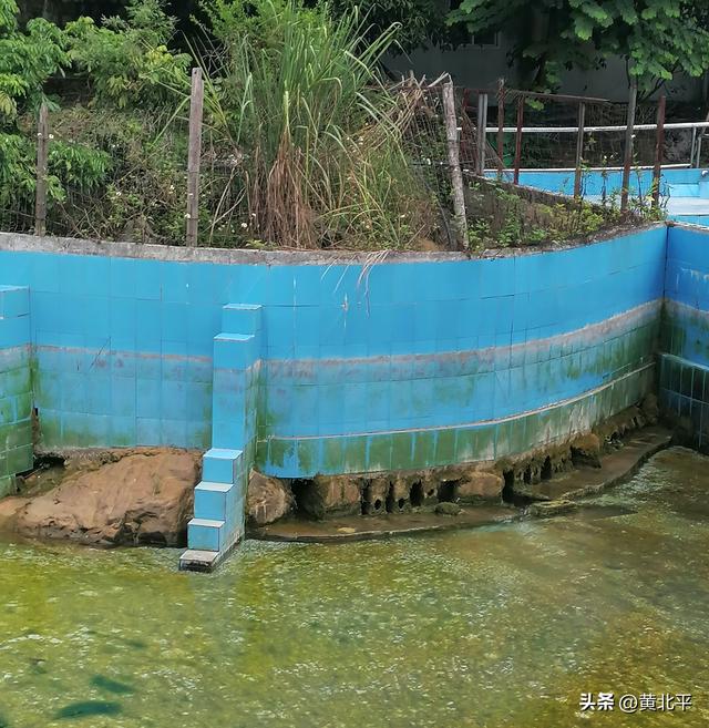 广西南宁市上林县曾经日均5000游客的景区，现在为何无人问津？