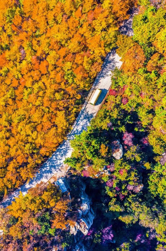 「沂蒙」叠翠映红黄——跟着色彩游临沂