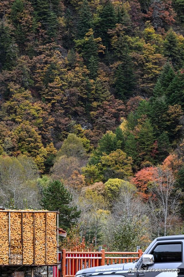 古意秋风三万里（D32）-从纳洛村到卓克基