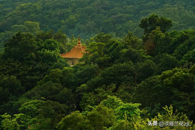 重阳节，登高远望城市风光。