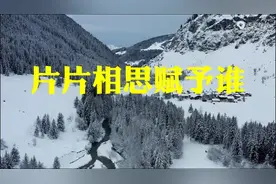 【纯音汇】古筝笛子曲《片片相思赋予谁》完整版 放松身心 太极音乐图片