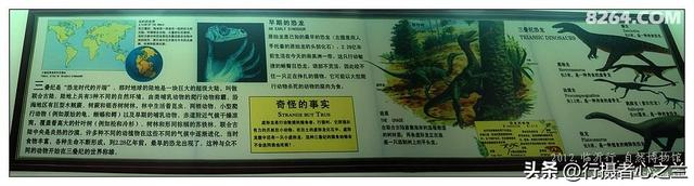 山东行游影记（26）—平邑天宇自然博物馆（一）