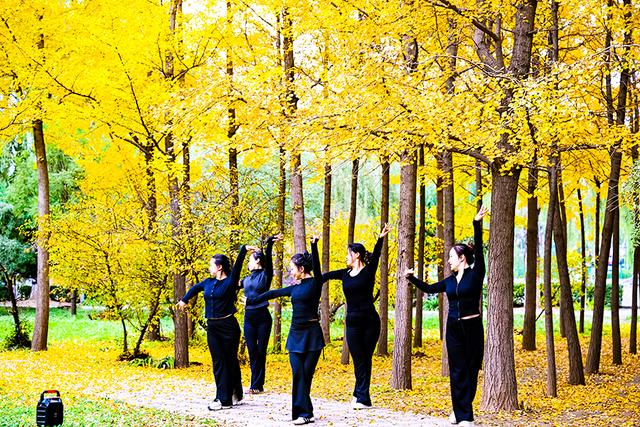 “醉”秋上线！潞州区美翻了