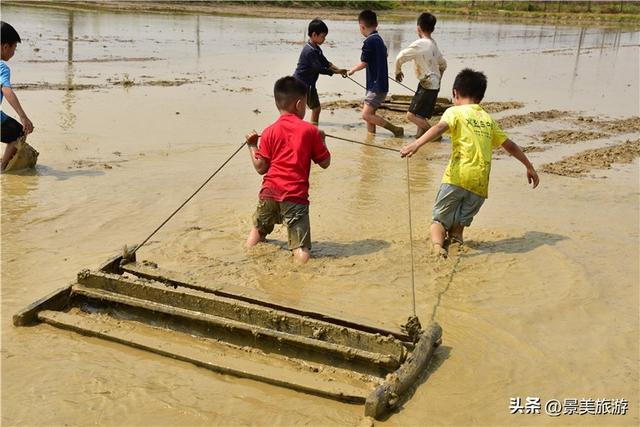 五一假期去哪儿？佛山紫南首届农耕文化节邀您共赴田园之约