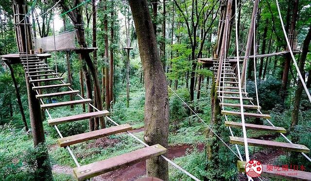 日本亲子游推荐「FOREST ADVENTURE」：享受森林冒险的刺激