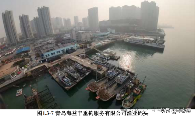 包含潜水培训、船帆帆板等，胶州湾海域中部将添海上文体娱乐项目