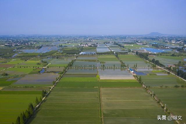 风向变了！中央放大招，农村这次要彻底翻身