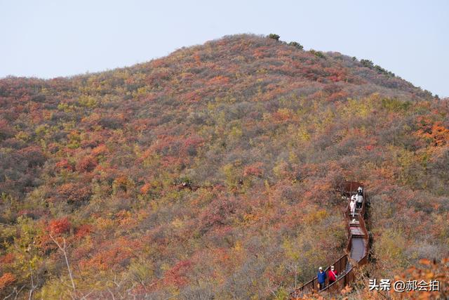 焦作窄门的深秋色彩！走五彩步道，赏太行红叶