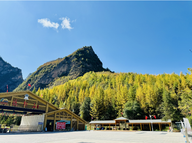 这么好看，不愧是遮阳山的秋天！