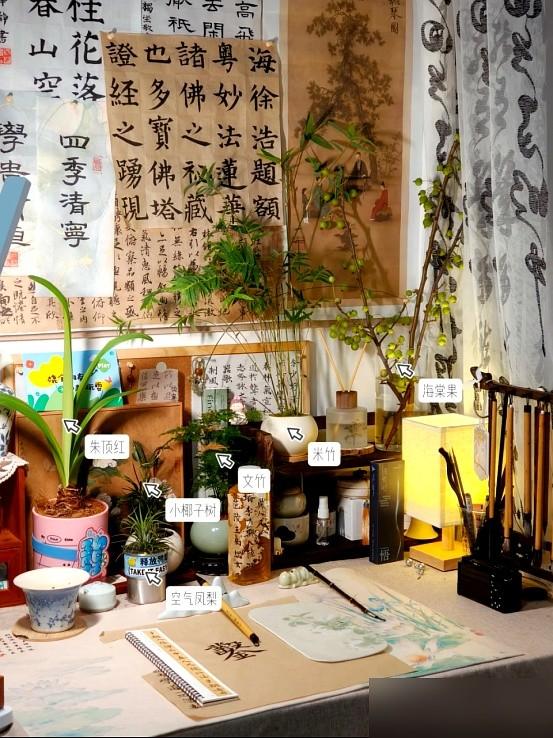 “阴花不能进阳宅”！家里若有这5种花，请赶紧“搬出去”！